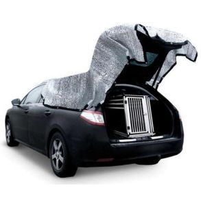 Solafskrming / Silverdug