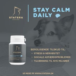 Statera - Stay Calm Daily