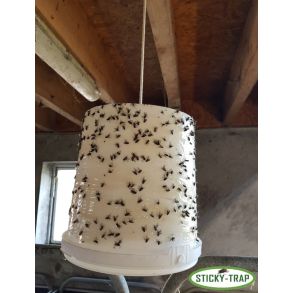 Sticky Trap F�lde - Hvid spand / indend�rs