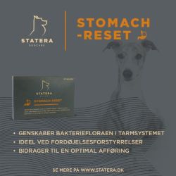 Statera - Stomach Reset  