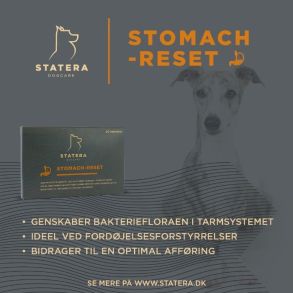 Statera - Stomach Reset  