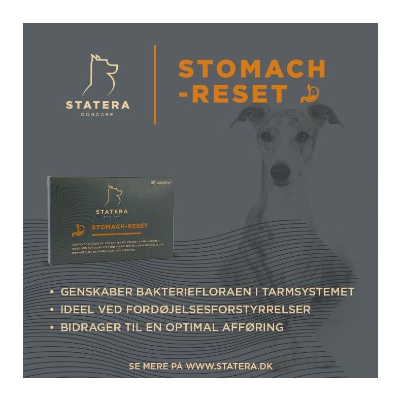 Statera - Stomach Reset  