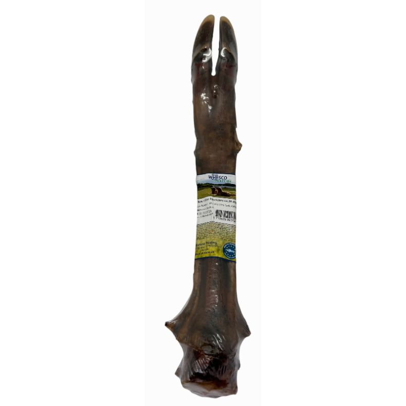 Hjorteben - ca. 30-40 cm