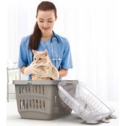 Transportbur - Small