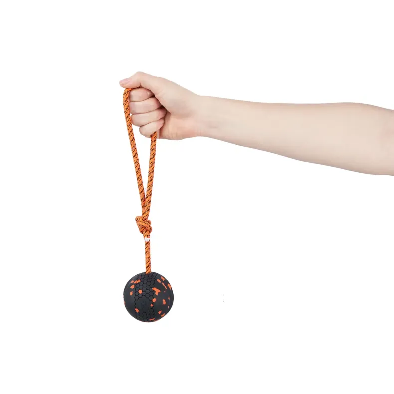 Dog ball on rope