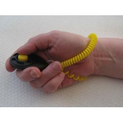 Starmark Pro-Trining Deluxe klikker, med spiral