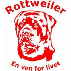 Rottweiler hoved med tekst / Ring for pris