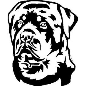 Rottweiler hoved / Ring for pris