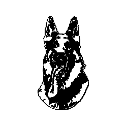 Schferhundehoved / Ring for pris