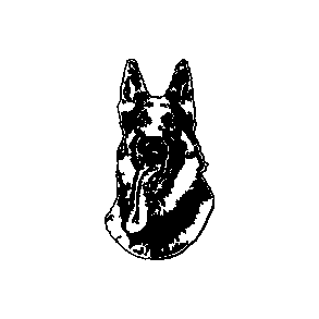 Schferhundehoved / Ring for pris