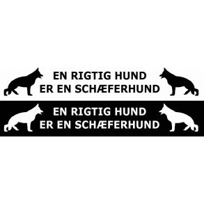 Streamer - en rigtig hund er en schferhund