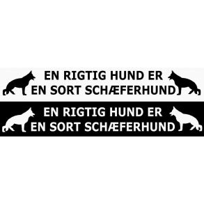 Streamer - en rigtig hund er en sort schferhund