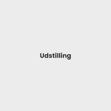 Udstilling